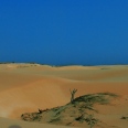 La Fascinante Boa Vista